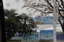 lbum de fotos del Fifa Fan Fest en Porto alegre