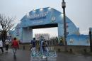 lbum de fotos del Fifa Fan Fest en Porto alegre