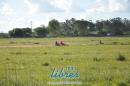 Gran Final de Karting en el circuito Santa Brbara