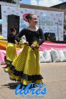 lbum de fotos de la solidaria juntada de tapitas para el hospital Garrahan