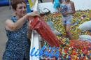 lbum de fotos de la solidaria juntada de tapitas para el hospital Garrahan