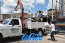 lbum de fotos de la solidaria juntada de tapitas para el hospital Garrahan