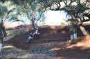 Segundo lbum de fotos del MX Correntino en Paso de los Libres