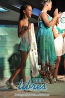 Galera de fotos de la presentacin de samba enredo y coronacin de reinas de Zum Zum
