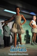 Galera de fotos de la presentacin de samba enredo y coronacin de reinas de Zum Zum