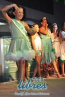 Galera de fotos de la presentacin de samba enredo y coronacin de reinas de Zum Zum
