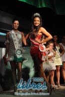 Galera de fotos de la presentacin de samba enredo y coronacin de reinas de Zum Zum