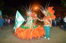 Carnaval de Alvear 2013