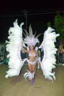 Carnaval de Alvear 2013