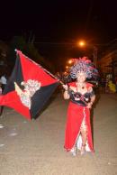 Carnaval de Alvear 2013