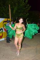 Carnaval de Alvear 2013