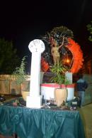 Carnaval de Alvear 2013
