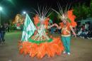 Carnaval de Alvear 2013
