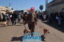 Fotografas del desfile 172 Aniversario de Paso de los Libres