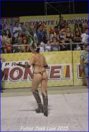 Carnaval de Corrientes 2015