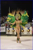 Carnaval de Corrientes 2015