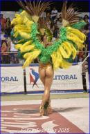 Carnaval de Corrientes 2015