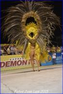 Carnaval de Corrientes 2015