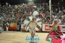 Circulo Carumb, desfile en la IV noche de carnaval
