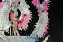 Circulo Carumb, desfile en la IV noche de carnaval