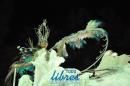 Comparsa Tradicin, desfile en la IV noche de carnaval