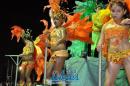 Comparsa Tradicin, desfile en la IV noche de carnaval