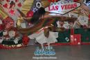 FOTOS DEL FESTEJO DE 15 AOS DE BIANCA SAAVEDRA