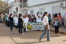 DESFILE DE LOS JARDINES EN SU DA