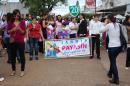DESFILE DE LOS JARDINES EN SU DA