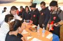 FESTIVAL INTERNACIONAL DEL GUISO 2012