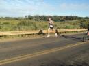 SEGUNDO LBUM DE FOTOS DE LA MEIA MARATON INTERNACIONAL URUGUAYANA - LIBRES