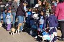 DESFILE DE MASCOTAS POR EL DA DEL ANIMAL EN JARDN SEMILLITAS