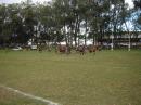 TARDE DE RUGBY EN LIBRES
