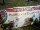 FIESTAS PATRONALES SAN JOSE 2012