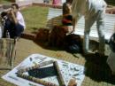 FIESTAS PATRONALES SAN JOSE 2012