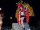 Todas las fotos de las comparsas en la segunda noche de carnaval