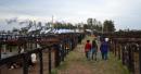 61 MUESTRA DE LA SOCIEDAD RURAL DE PASO DE LOS LIBRES