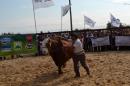 61 MUESTRA DE LA SOCIEDAD RURAL DE PASO DE LOS LIBRES