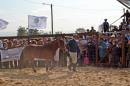 61 MUESTRA DE LA SOCIEDAD RURAL DE PASO DE LOS LIBRES