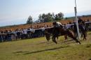 61 MUESTRA DE LA SOCIEDAD RURAL DE PASO DE LOS LIBRES