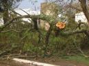 TORNADO EN YAPEY - 17 DE AGOSTO DE 2012