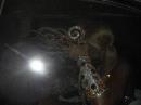 Libres despidi al Carnaval 2012 con lluvia en una jornada historica
