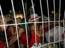 Libres despidi al Carnaval 2012 con lluvia en una jornada historica