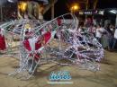 Galera de fotos de la ultima noche de carnaval