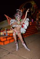Primera noche de corsos 2014 en Yapey
