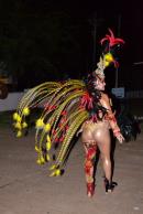 Primera noche de corsos 2014 en Yapey