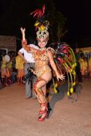 Primera noche de corsos 2014 en Yapey