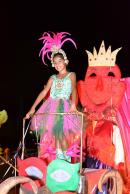 Primera noche de corsos 2014 en Yapey