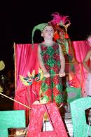 Primera noche de corsos 2014 en Yapey