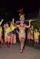 Primera noche de corsos 2014 en Yapey